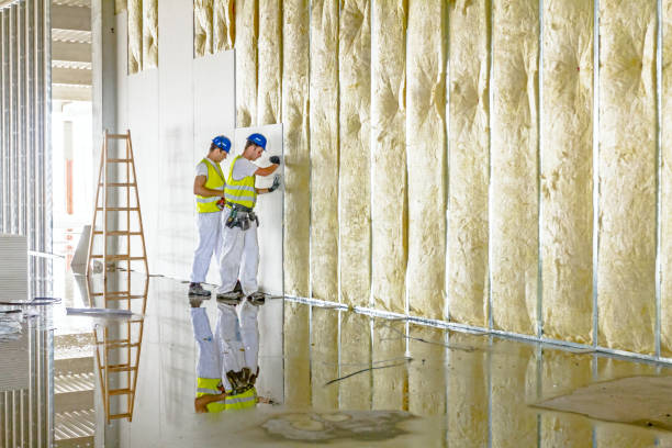 Best Residential Insulation in Montrose, NY